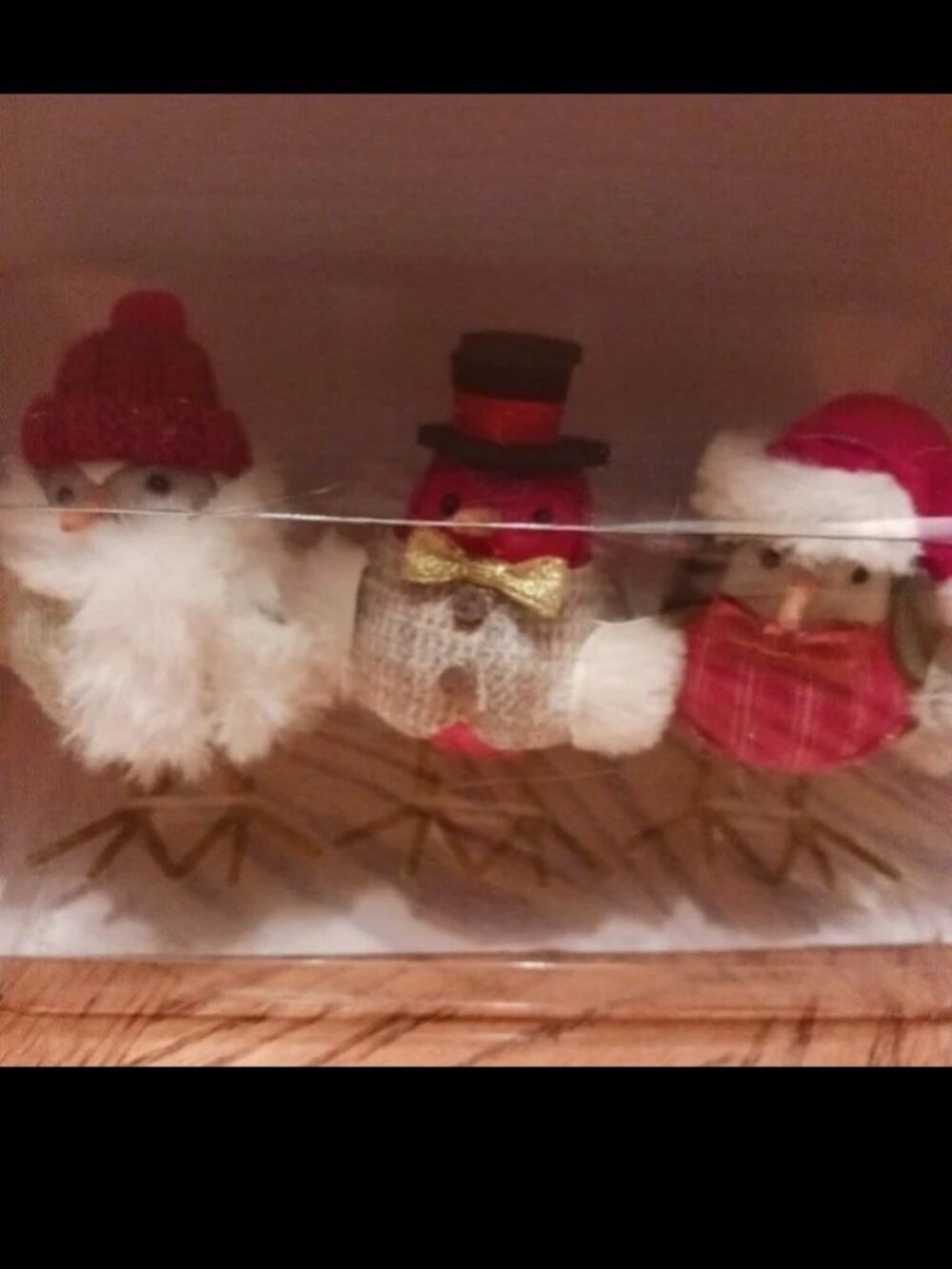Target Wondershop mini Christmas birds/2022